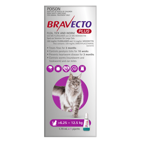 Purple All-in-One For Large Cats