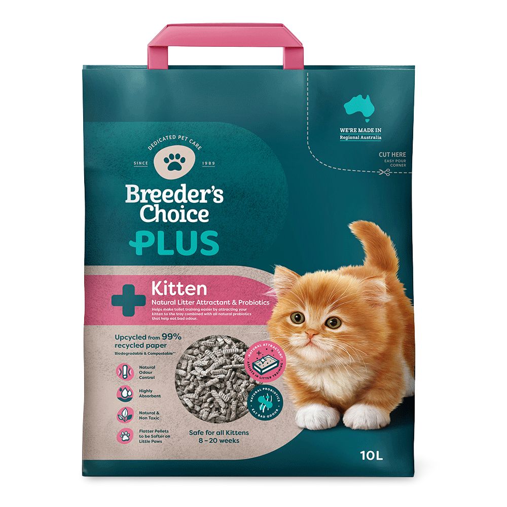 Plus Kitten Litter