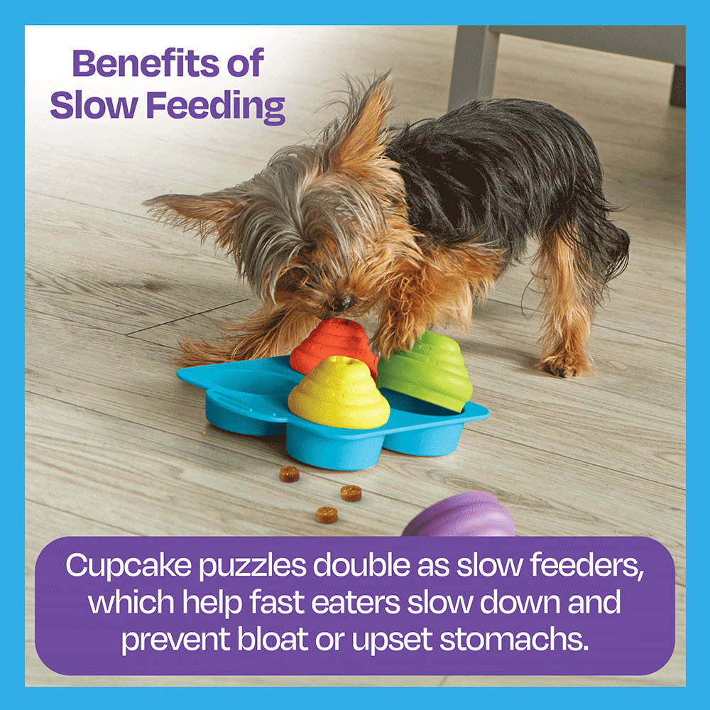 Cupcake Party Treat Puzzle