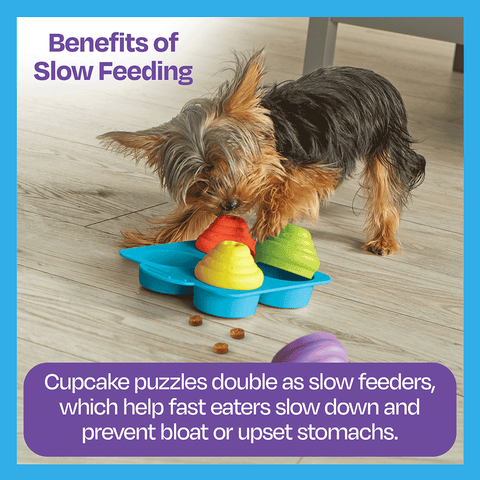 Cupcake Party Treat Puzzle