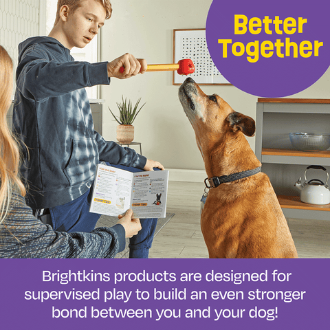 Pooch School Training Set