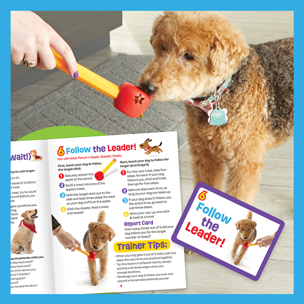 Pooch School Training Set