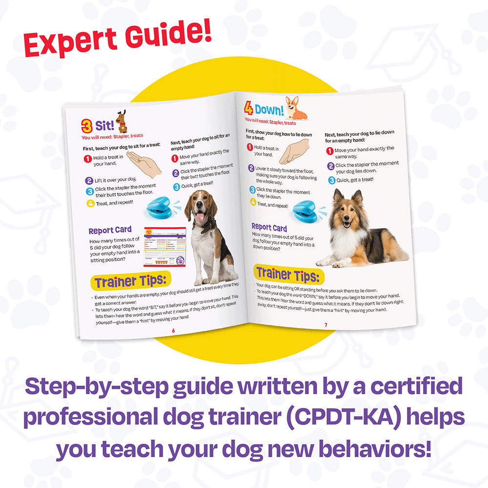 Pooch School Training Set