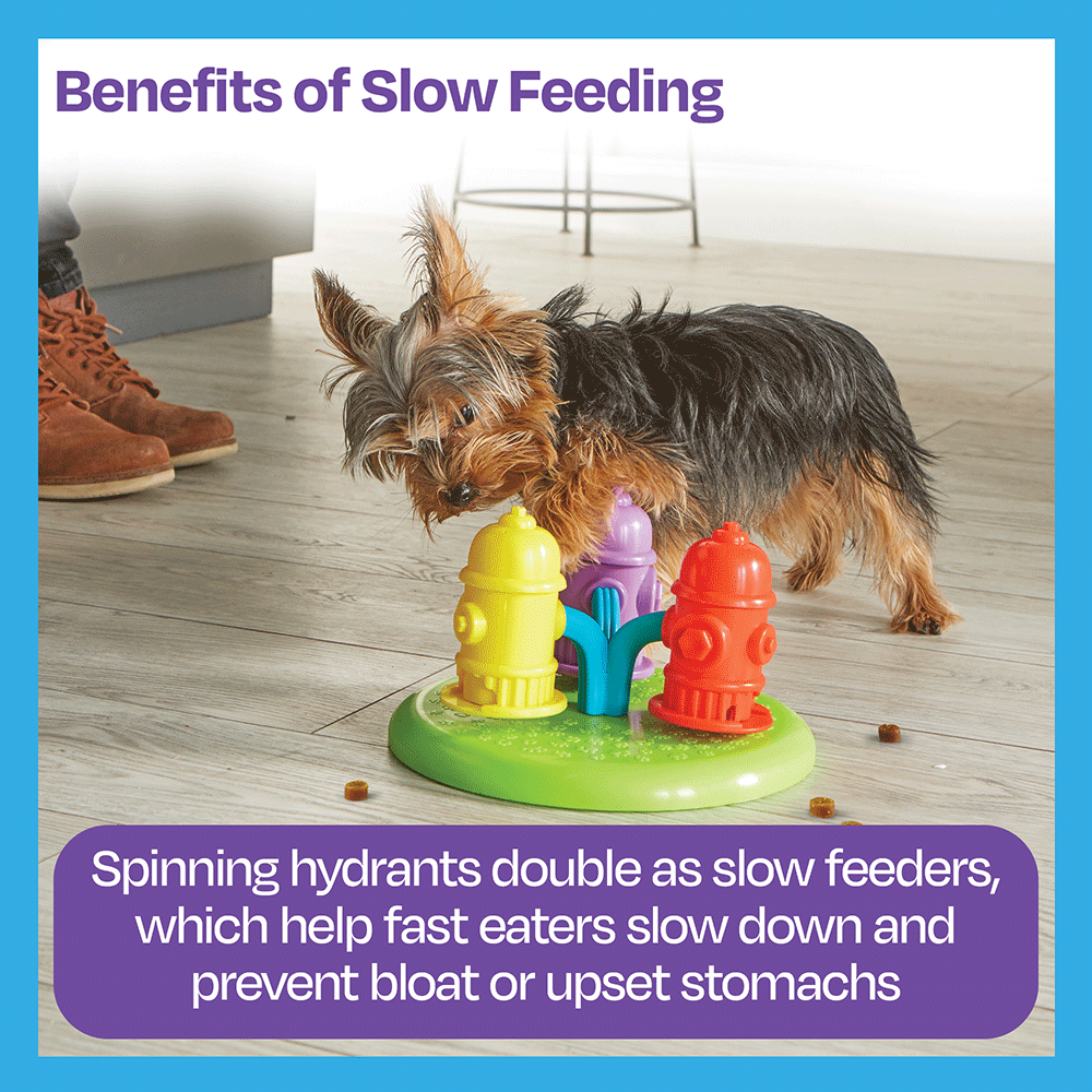 Spinning Hydrants Treat Puzzle