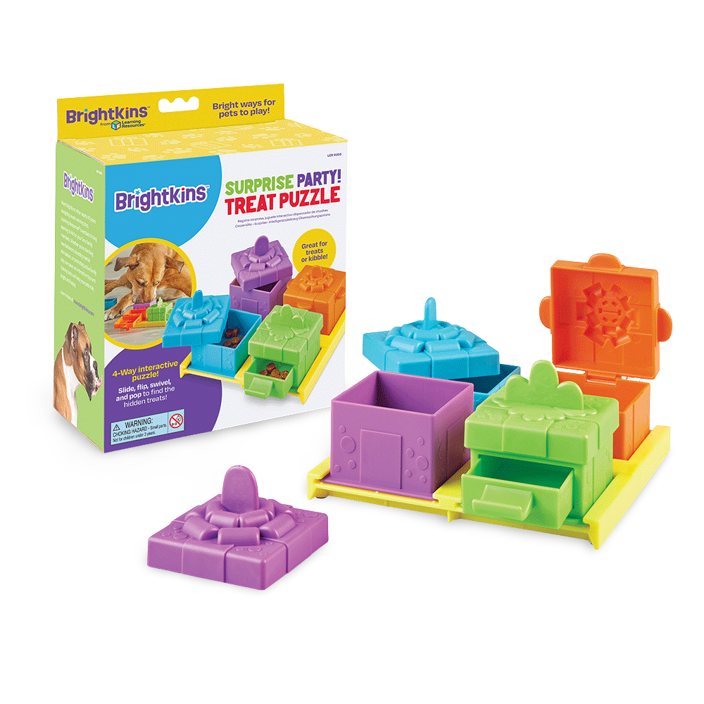 Surprise Party Treat Puzzle