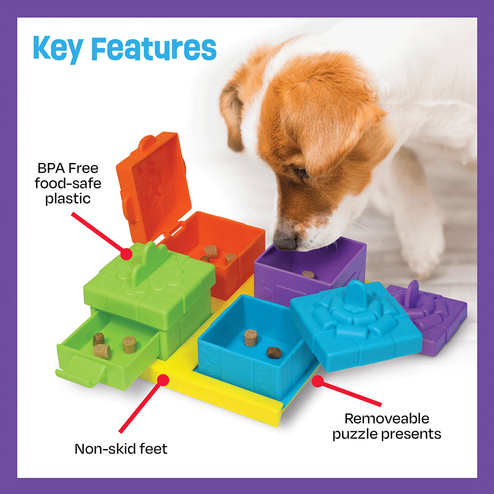 Surprise Party Treat Puzzle