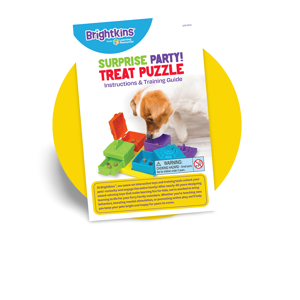 Surprise Party Treat Puzzle