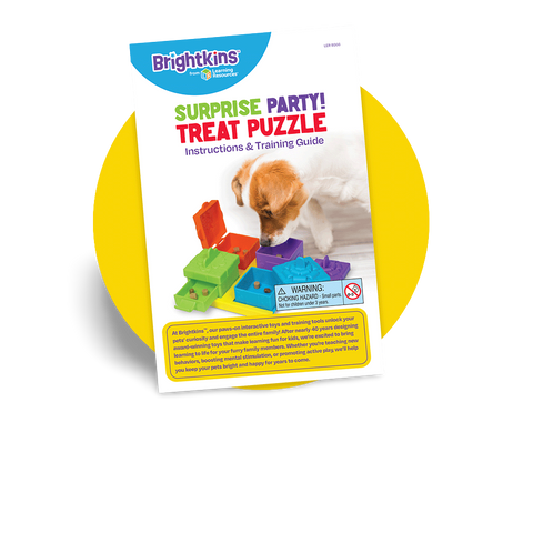 Surprise Party Treat Puzzle