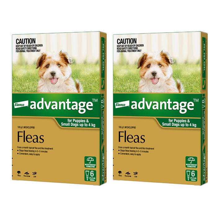 Advantage Green for Small Dog