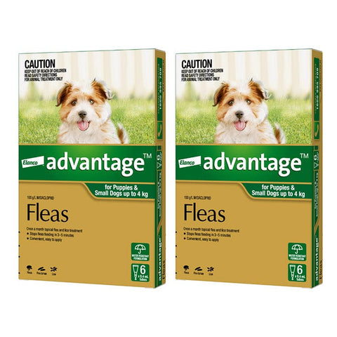 Advantage Green for Small Dog