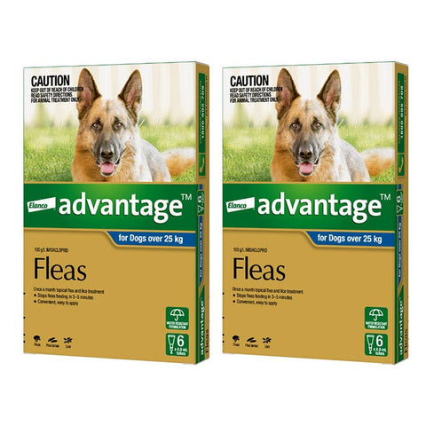 Advantage Blue for Extra Large Dog