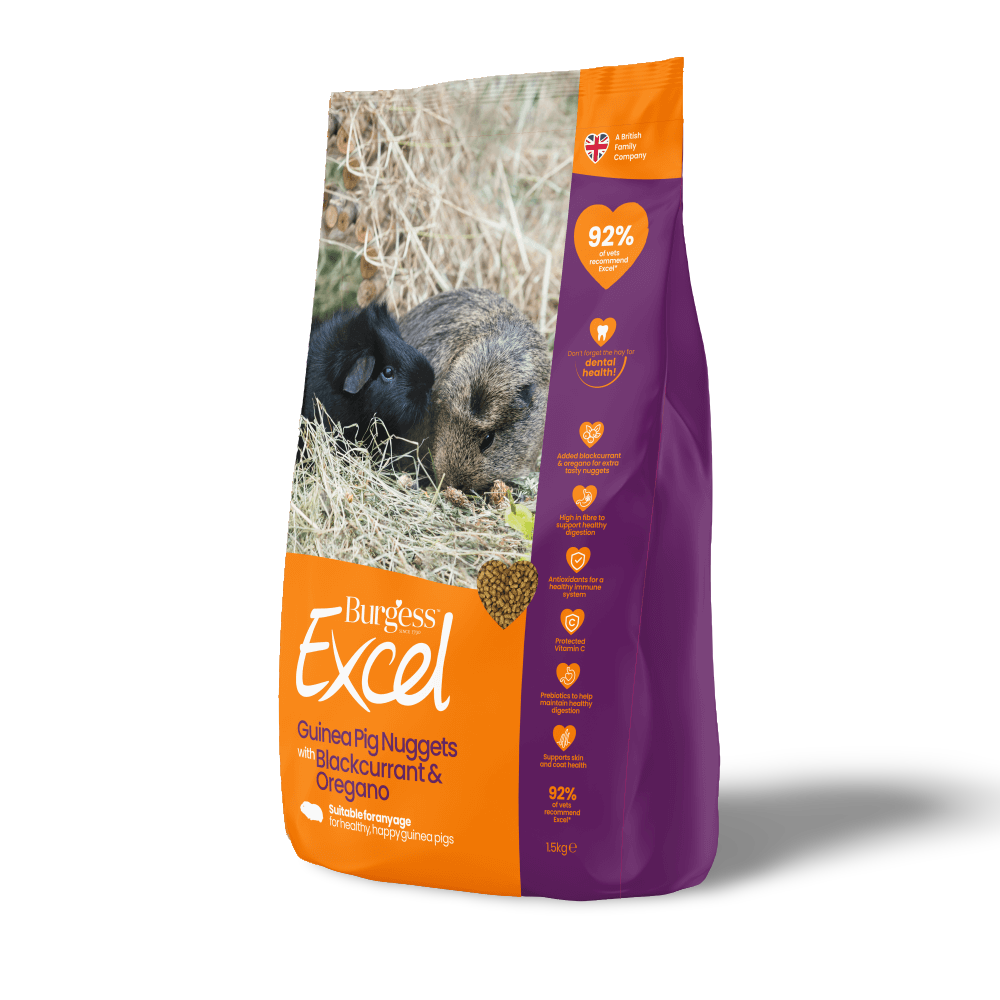 Excel Guinea Pig Nuggets Blackcurrant Oregano