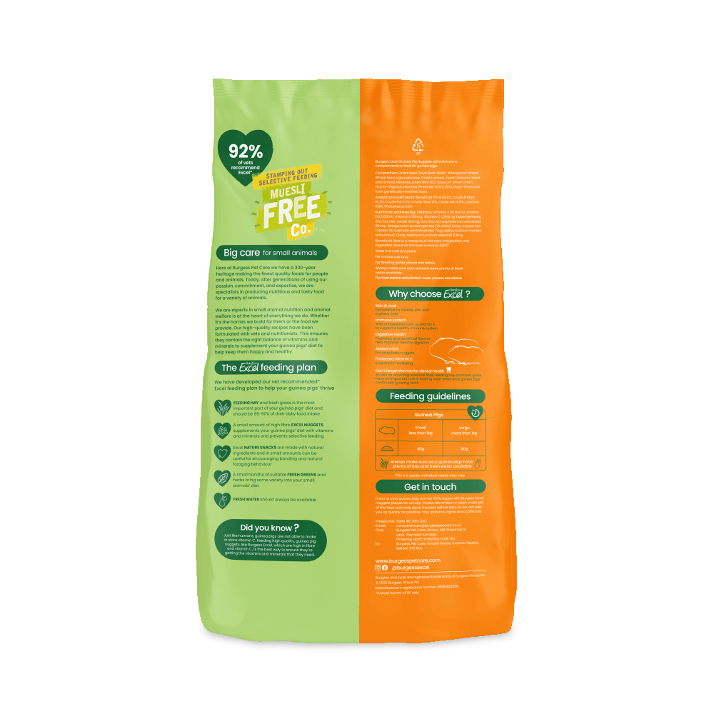 Excel Guinea Pig Nuggets Mint