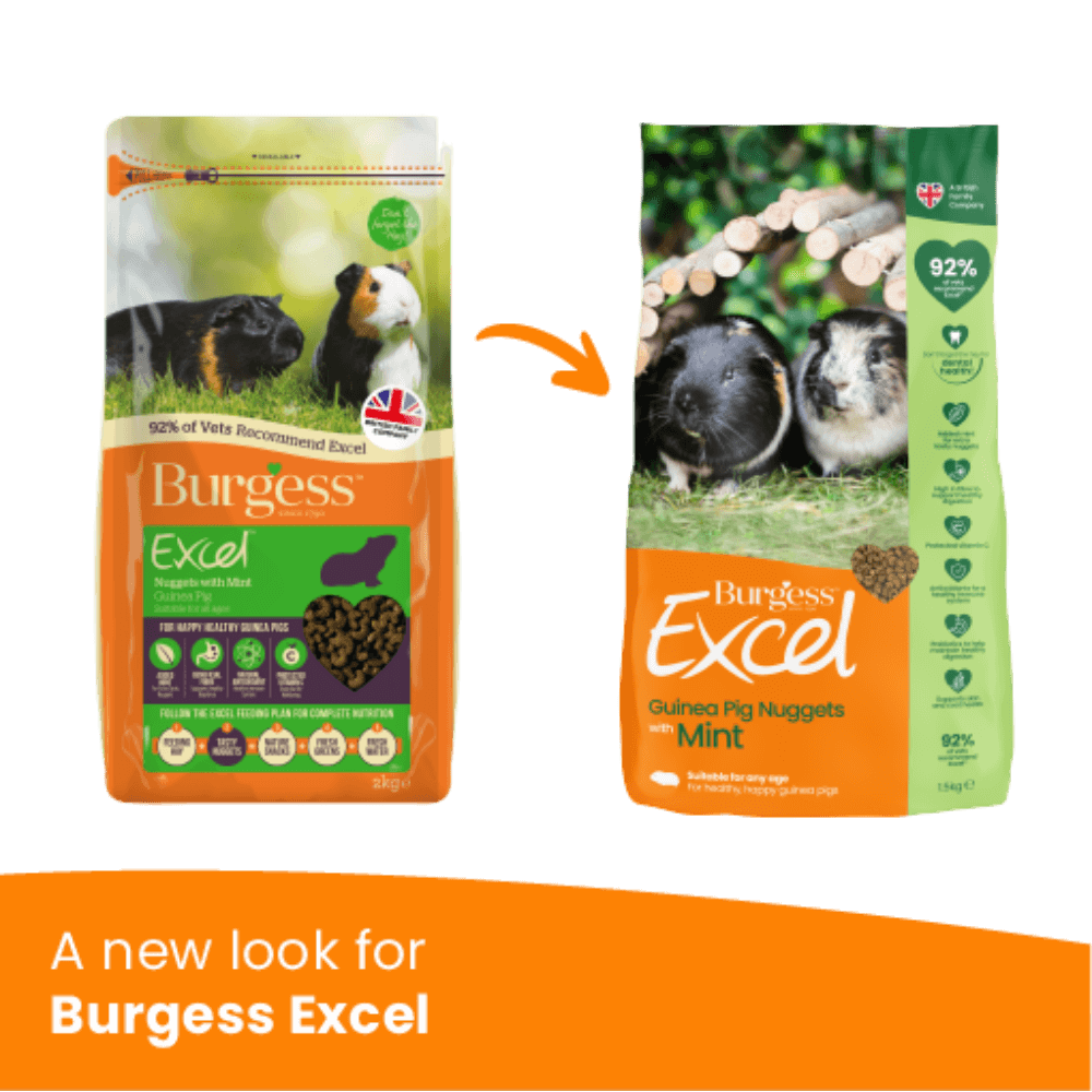Excel Guinea Pig Nuggets Mint
