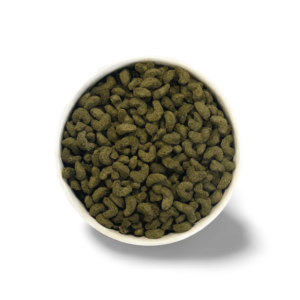 Excel Guinea Pig Nuggets Mint