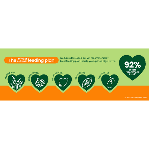 Excel Guinea Pig Nuggets Mint