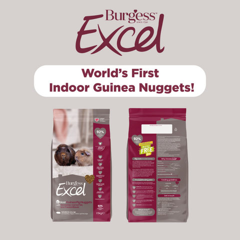 Burgess Excel Indoor Guinea Pig Nuggets With Dandelion And Chamomile