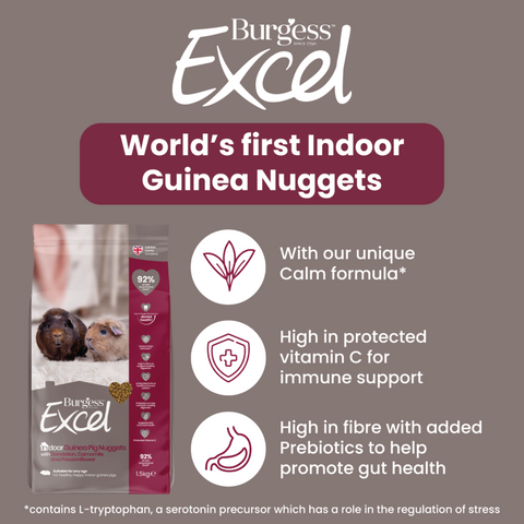 Burgess Excel Indoor Guinea Pig Nuggets With Dandelion And Chamomile