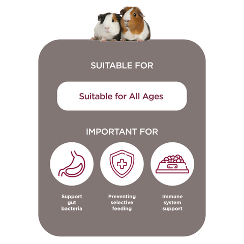 Burgess Excel Indoor Guinea Pig Nuggets With Dandelion And Chamomile