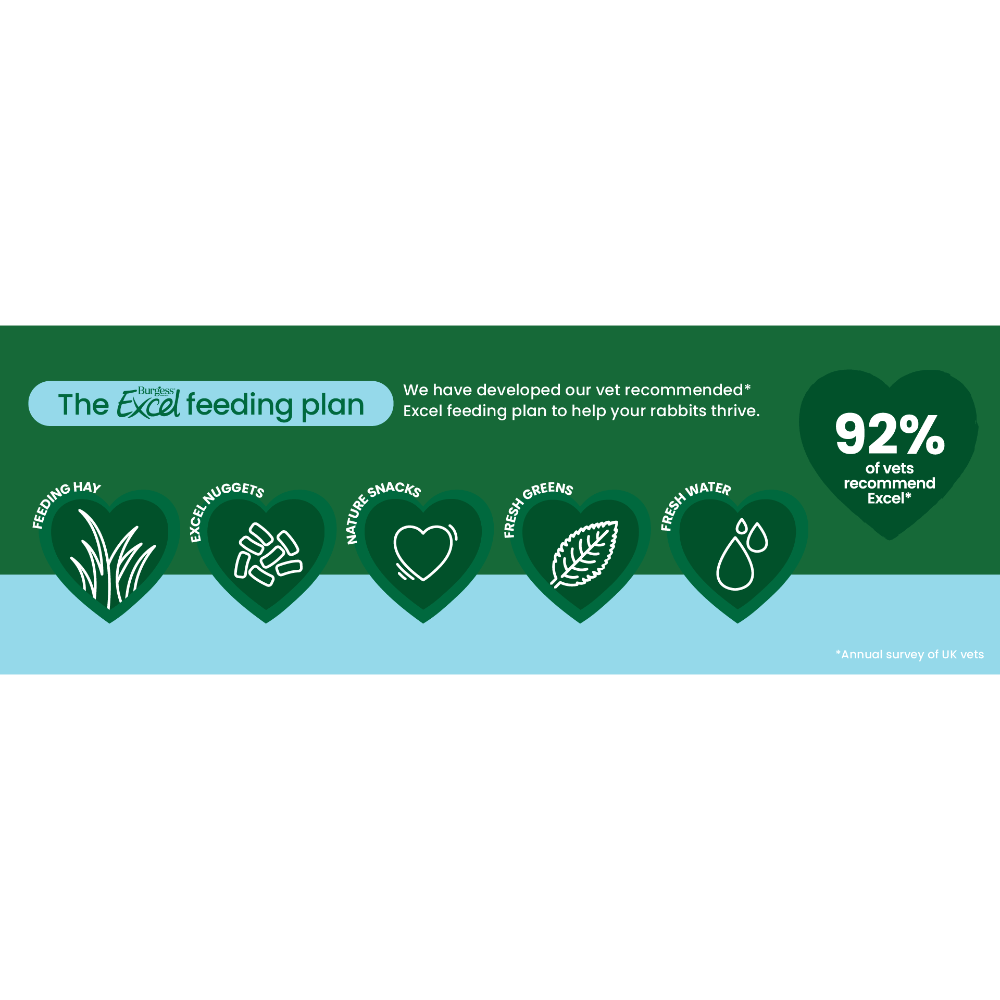 Excel Junior And Dwarf Rabbits Nuggets With Mint