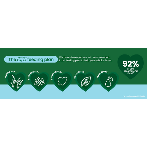 Excel Junior And Dwarf Rabbits Nuggets With Mint