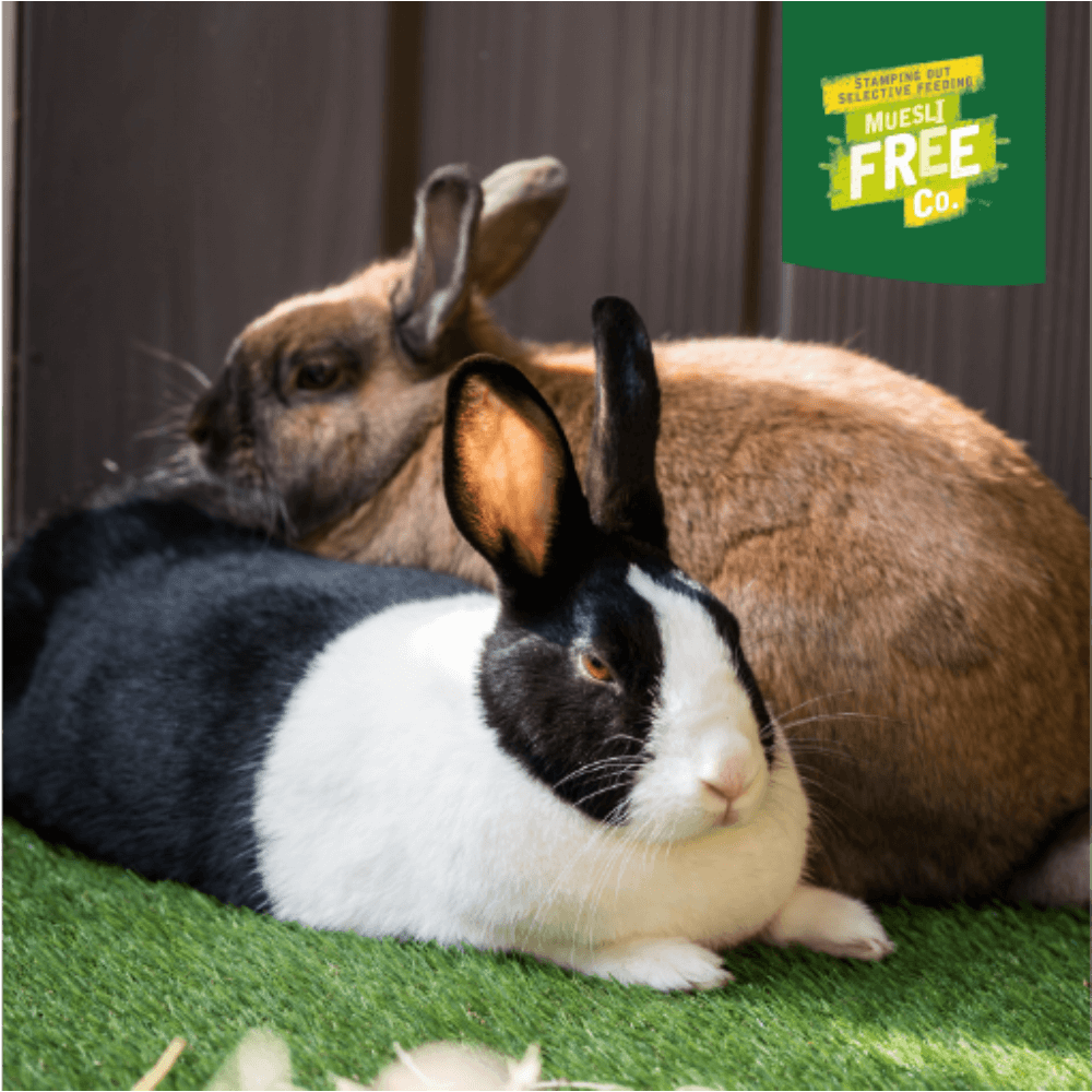 Excel Light Nuggets For Overweight Rabbits