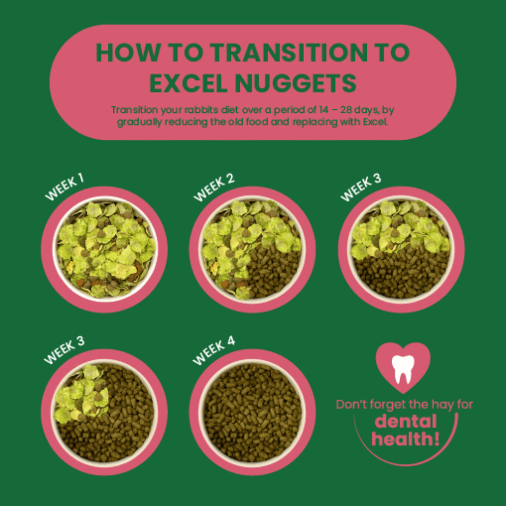 Excel Mature Rabbit Nuggets Cranberry Ginseng