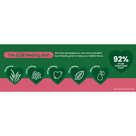 Excel Mature Rabbit Nuggets Cranberry Ginseng