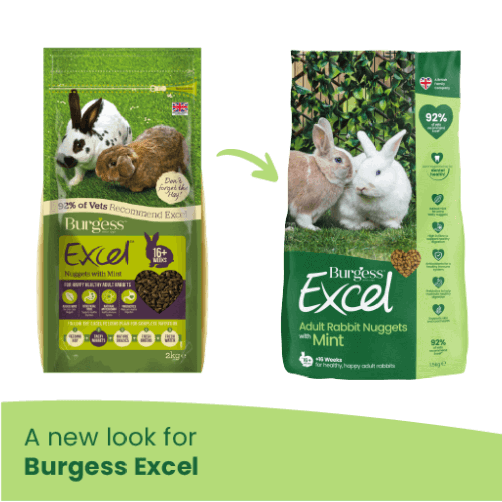 Excel Rabbit Nuggets Mint