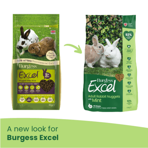 Excel Rabbit Nuggets Mint
