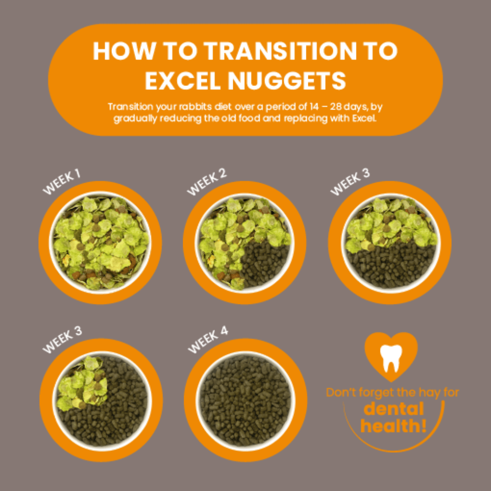 Indoor Rabbit Nuggets