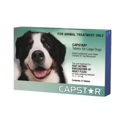 Flea Tablets Medium & Large Dogs Green