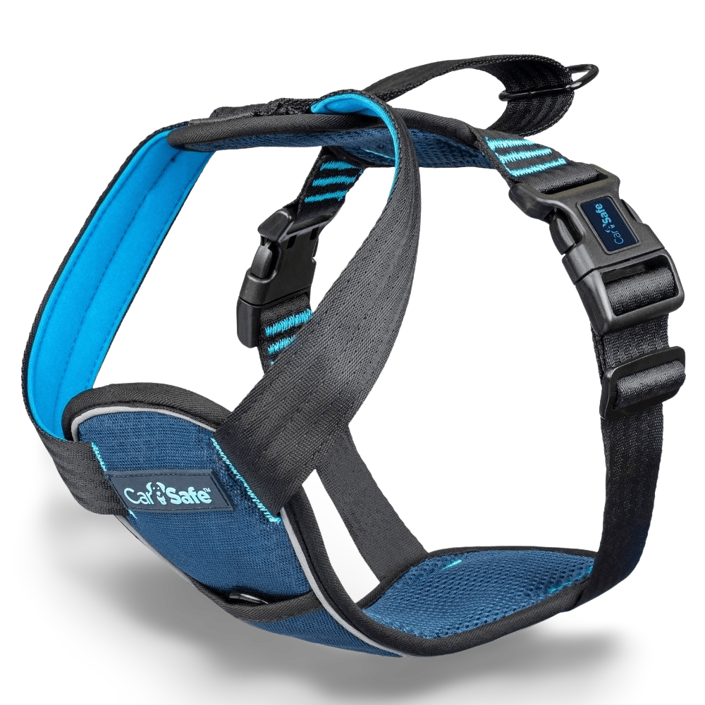 Crash Tested Seatbelt Dog Harness Blue