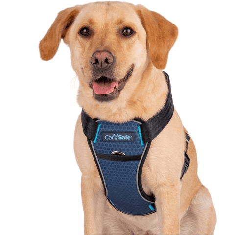 Crash Tested Seatbelt Dog Harness Blue