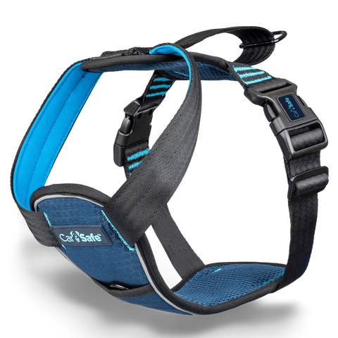 Crash Tested Seatbelt Dog Harness Blue