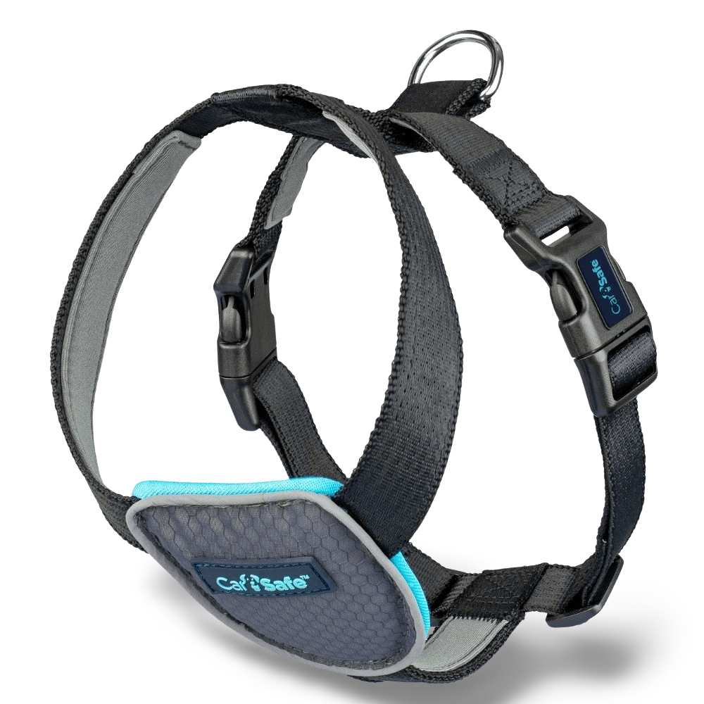 Dog Travel Harness Black