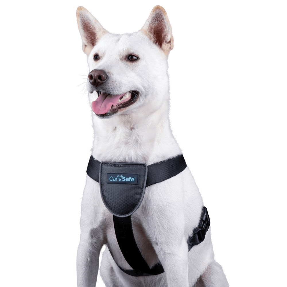Dog Travel Harness Black