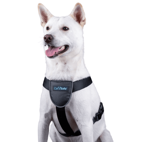 Dog Travel Harness Black