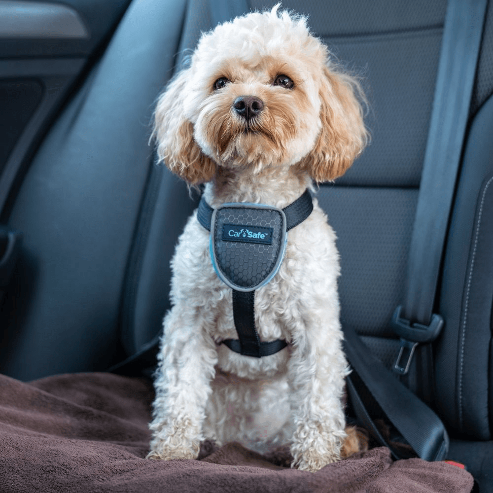 Dog Travel Harness Black