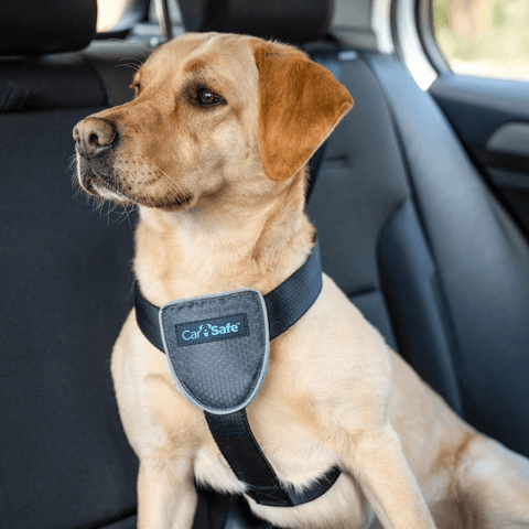 Dog Travel Harness Black