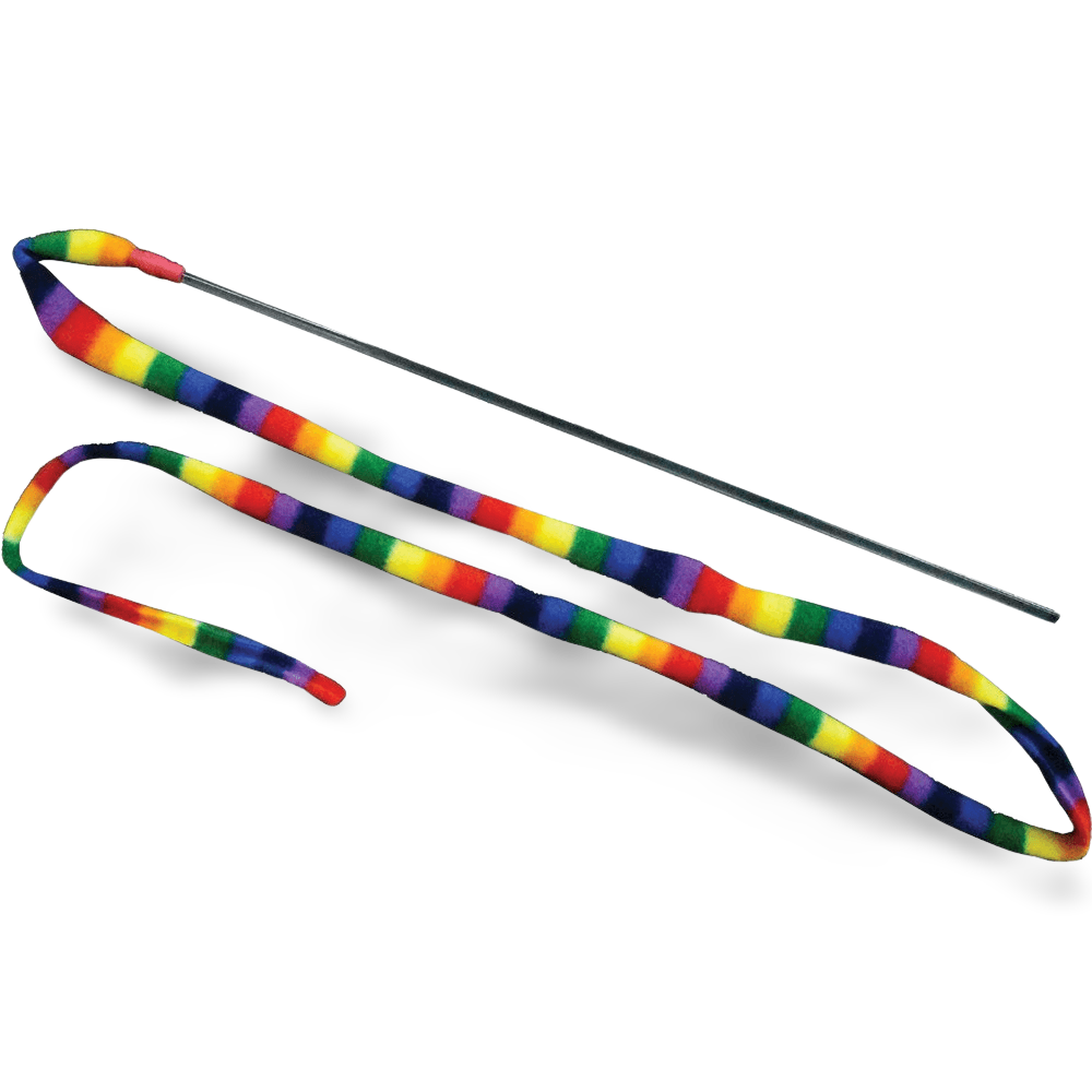 Cat Charmer Rainbow Cat Toy