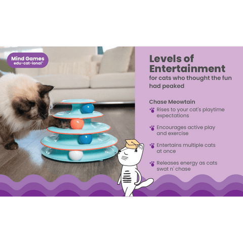 Catstages Chase Meowtain Cat Toy