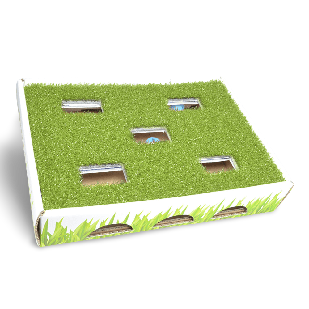 Catstages Grass Patch Hunting Box Cat Toy