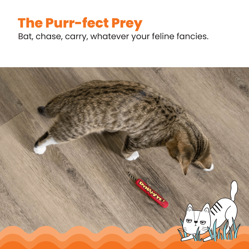 Catstages Green Magic Dynamite Cat Toy