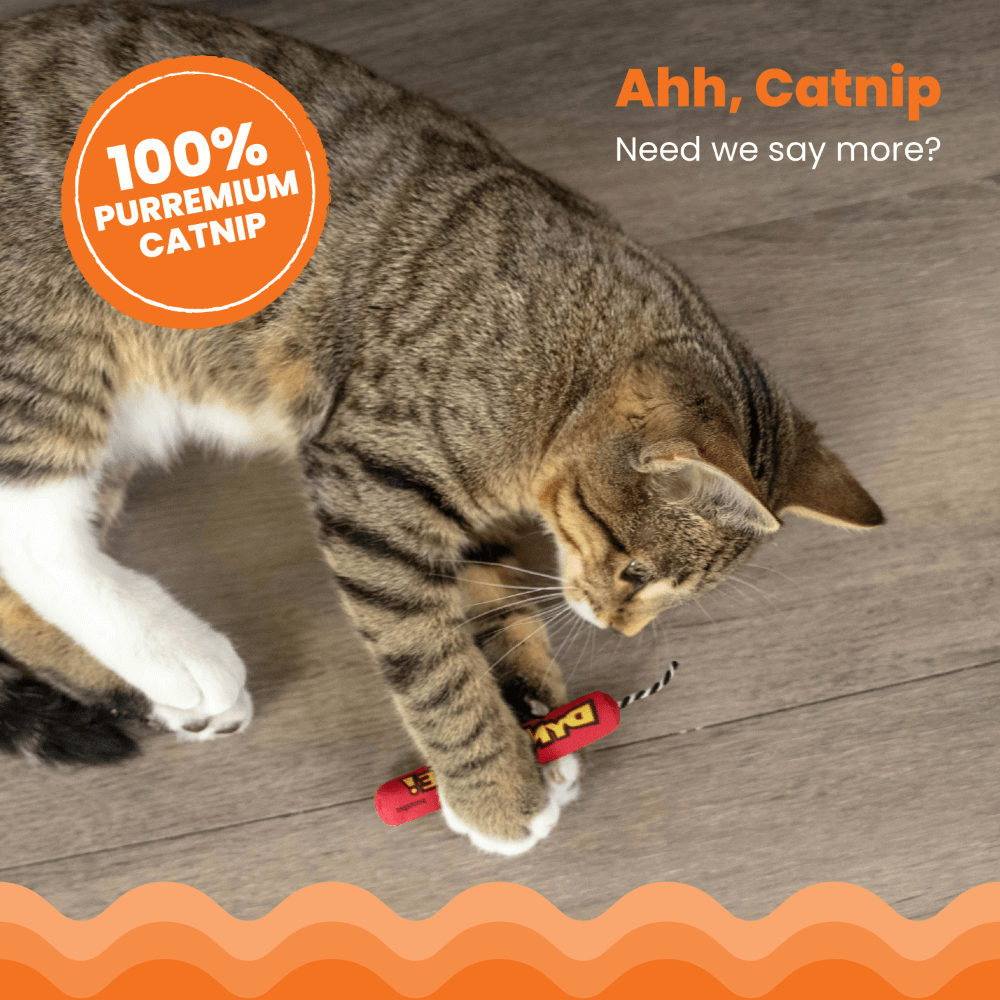 Catstages Green Magic Dynamite Cat Toy