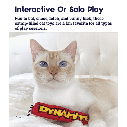 Catstages Green Magic Dynamite Cat Toy