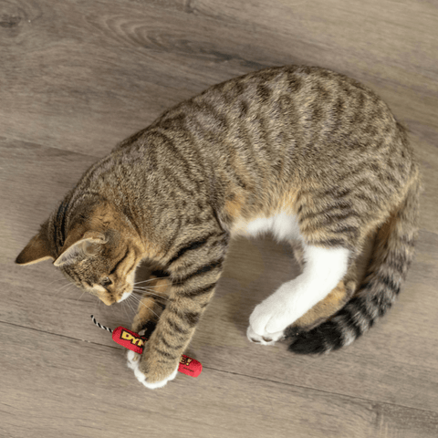 Catstages Green Magic Dynamite Cat Toy