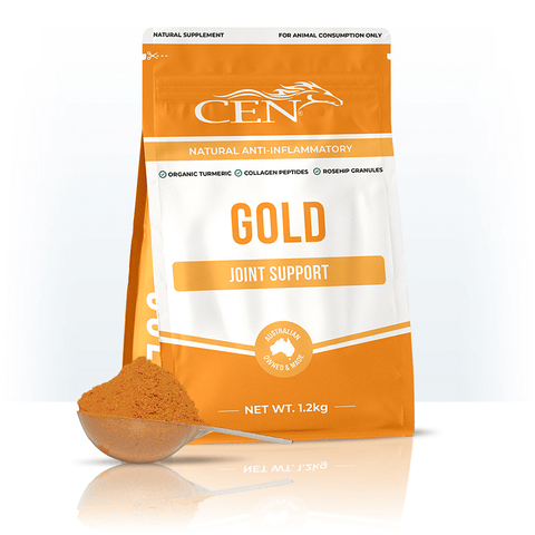 Gold Joint Supplement for Horses