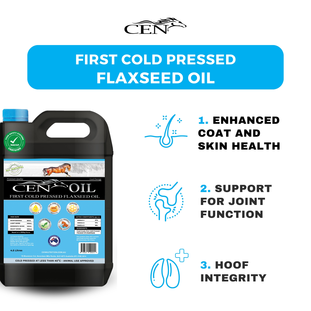 First Cold Pressed Flaxseed Oil For Horses