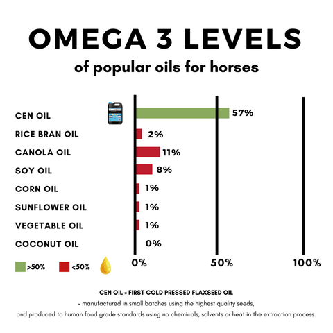 First Cold Pressed Flaxseed Oil For Horses